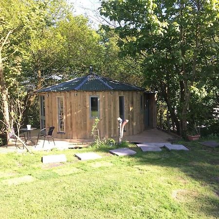 The Roundhouse - Unique Space Nestled In The Trees Begelly Екстериор снимка